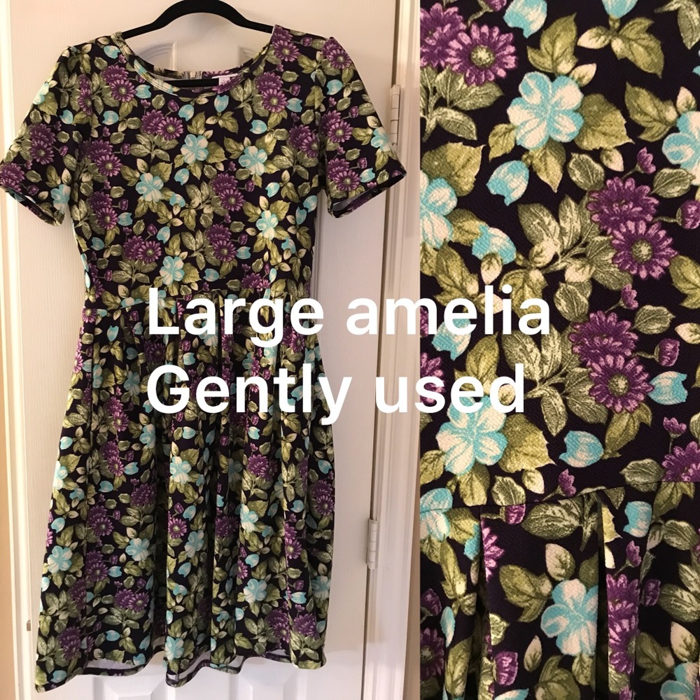 Large Amelia